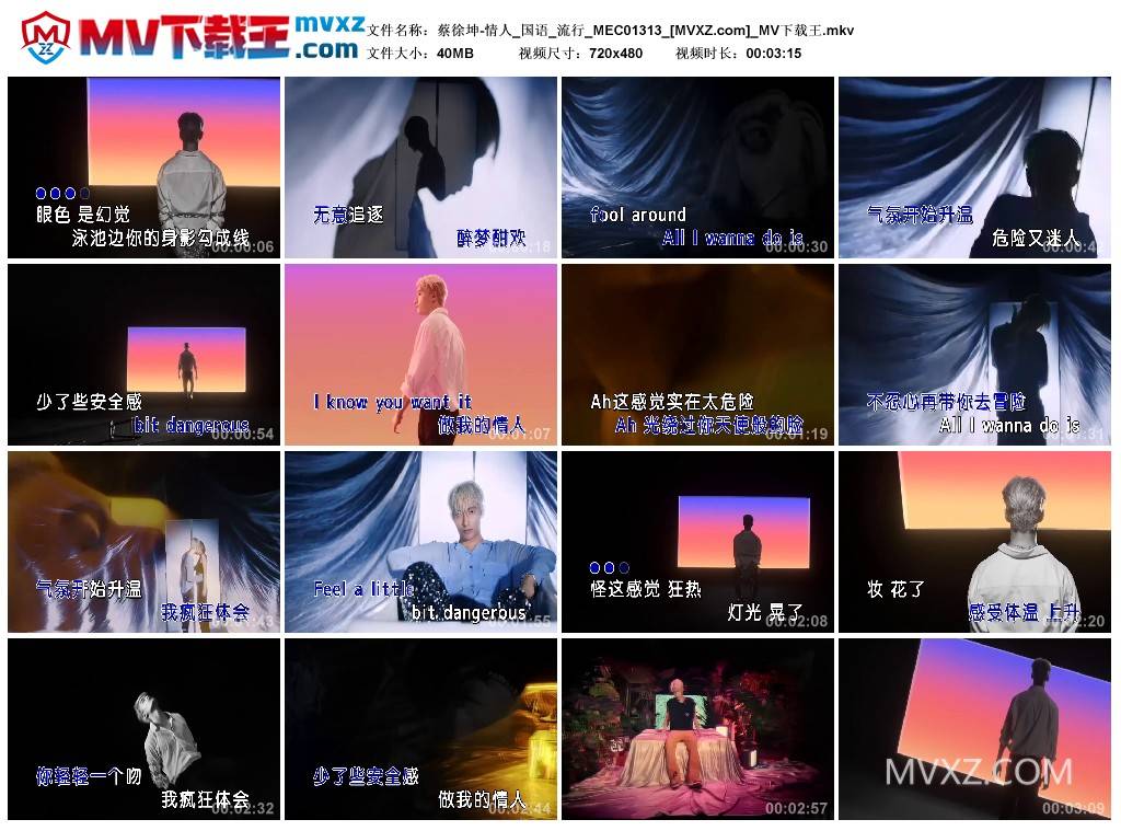 蔡徐坤-情人_国语_流行_MEC01313